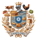 CSAFI
